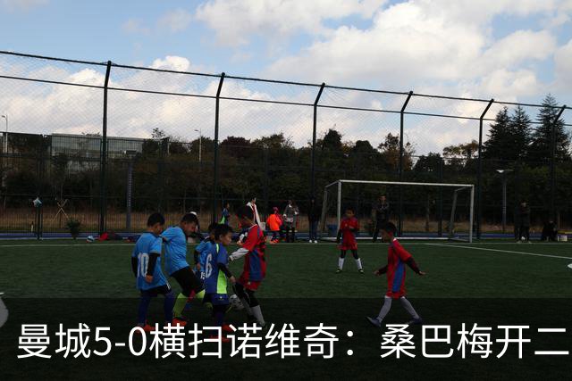 曼城5-0横扫诺维奇：桑巴梅开二度，马雷斯卡豪赌青春